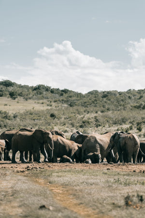 Biosphere Reserves Day 2026: Read the Designation as a Living Place